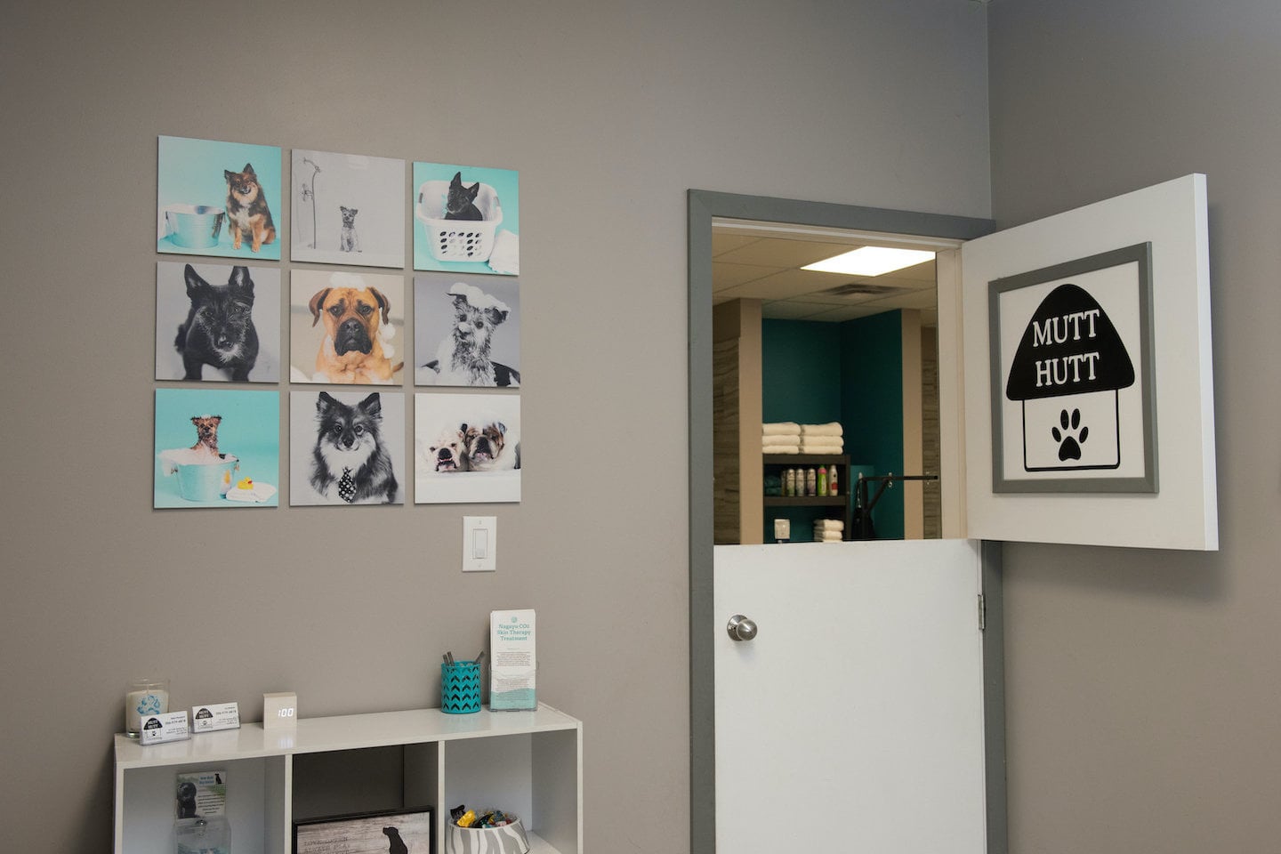 mutt_hutt_dog_cat_pet_grooming_saskatoon-1