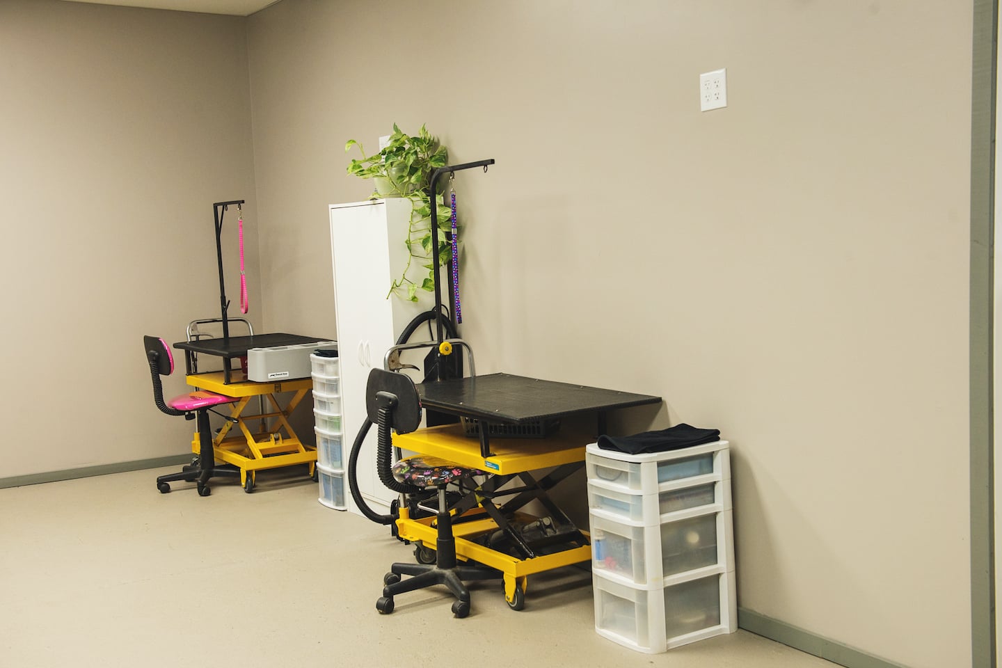 Gallery Mutt Hutt Dog & Cat Grooming Saskatoon